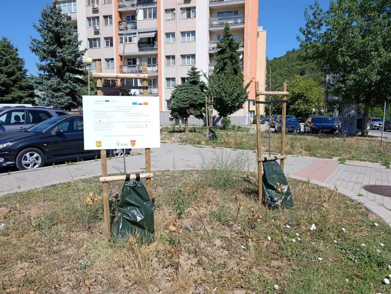Как изглеждат хиляди левове и красиви обещания месеци по-късно? И „Развесената върба“ потъна в бурени и изсъхнали дръвчета