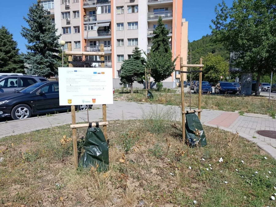 Как изглеждат хиляди левове и красиви обещания месеци по-късно? И „Развесена върба“ потъна в бурени и изсъхнали дръвчета