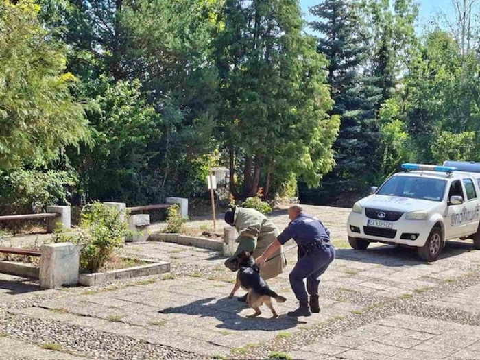 Полицаи и служебно куче Ирко гостуваха на децата от Лятната академия в Кюстендил