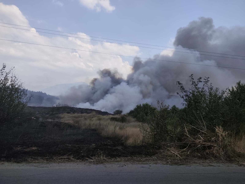 Пламъци край Дупница: пожар обхвана над 12 декара при Елез дере (ОБНОВЕНО)