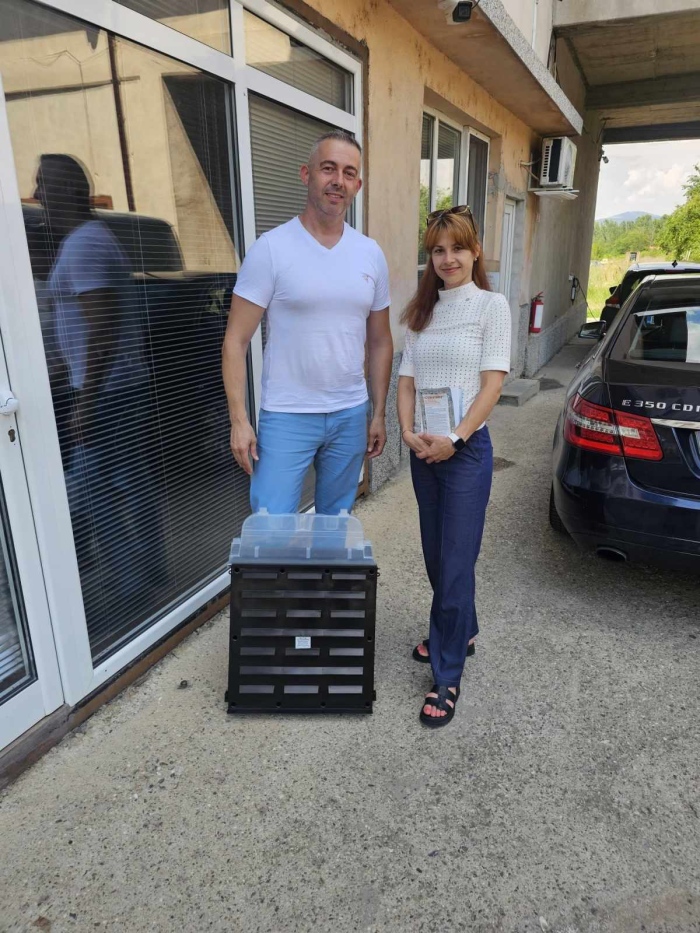 Какво уврежда елите над Бистрица? В капана няма елови корояди