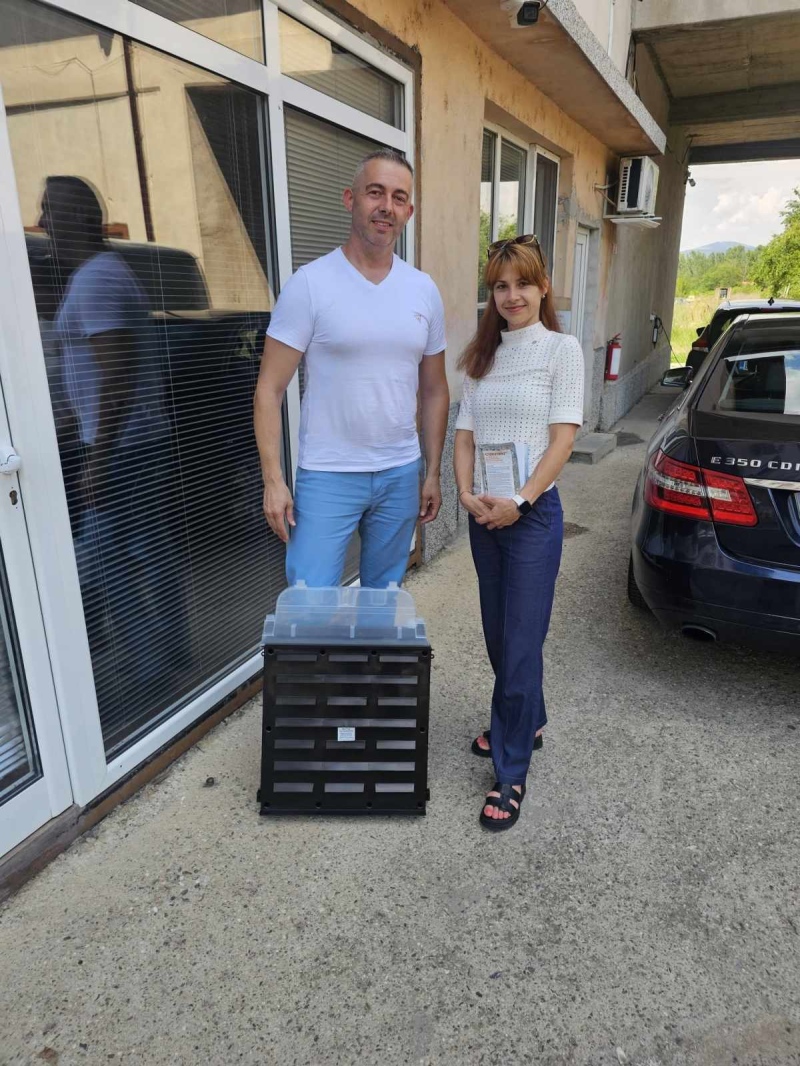 Какво уврежда елите над Бистрица? В капана няма елови корояди