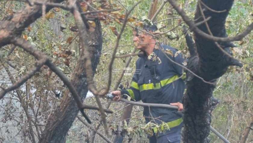 Пожар избухна в борова гора край язовир „Копринка“
