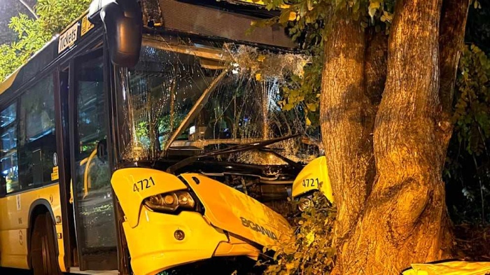 Автобус се вряза в дърво в Берлин, 11 души пострадаха