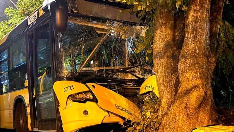 Автобус се вряза в дърво в Берлин, 11 души пострадаха