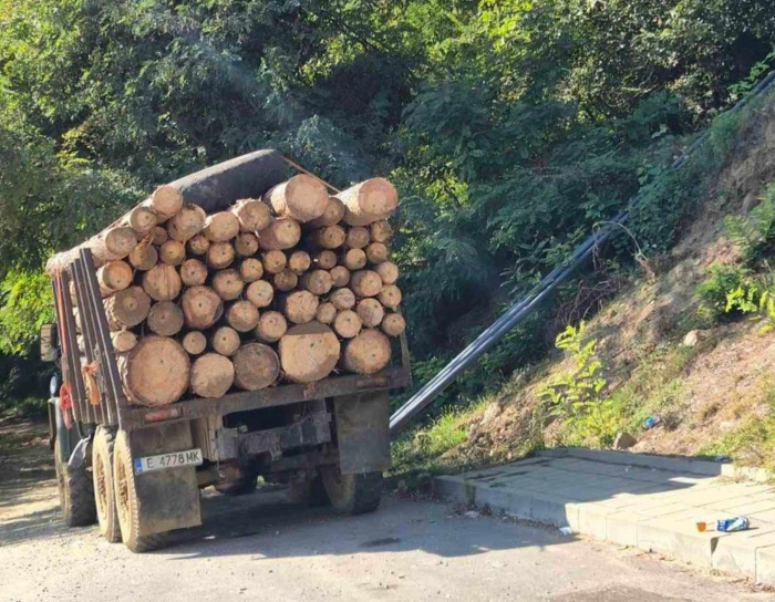 Хванаха несъответствия при превоза на дървесина в Петрич и Якоруда, проверяват двама горски