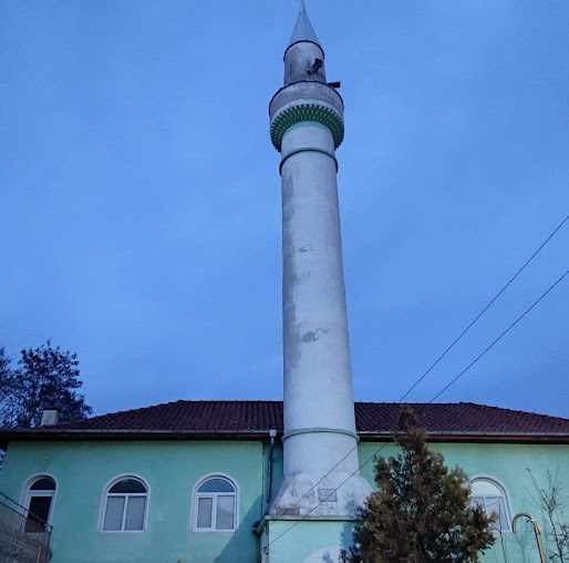 Кощунство! Откраднаха около 600 евро от джамията в село Годешево