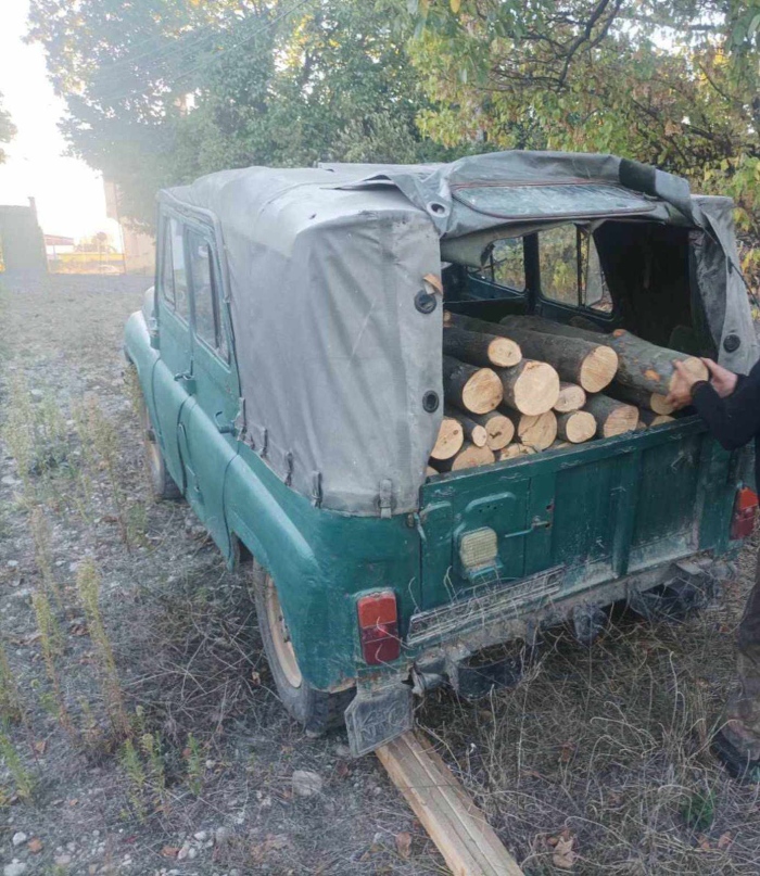 Незаконна сеч на 94 дървета е установена при проверка край Самоков