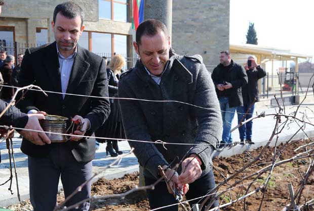 Зам.-министър Манолев от Сандански заряза лозята в Пиринско, отсече: Изнасяме вина за 31 млн. евро, настъпваме към Азия